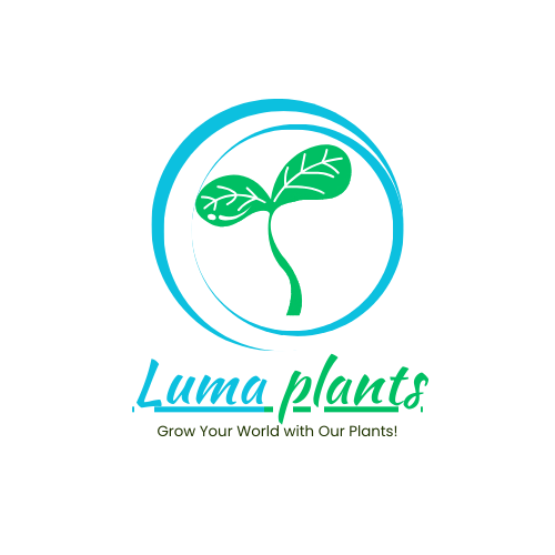 luma plants